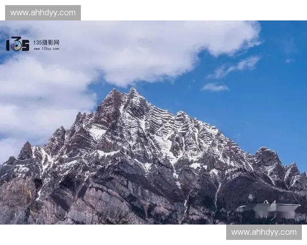 聚焦日本足球赛事直播全景解析呈现全程精彩瞬间深度回顾报道特辑